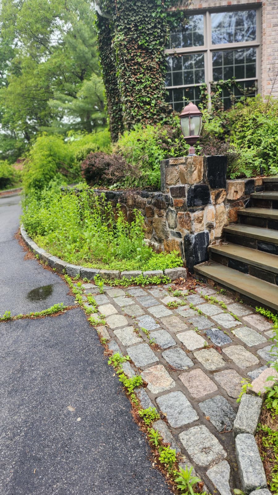 Driveway before edge work
