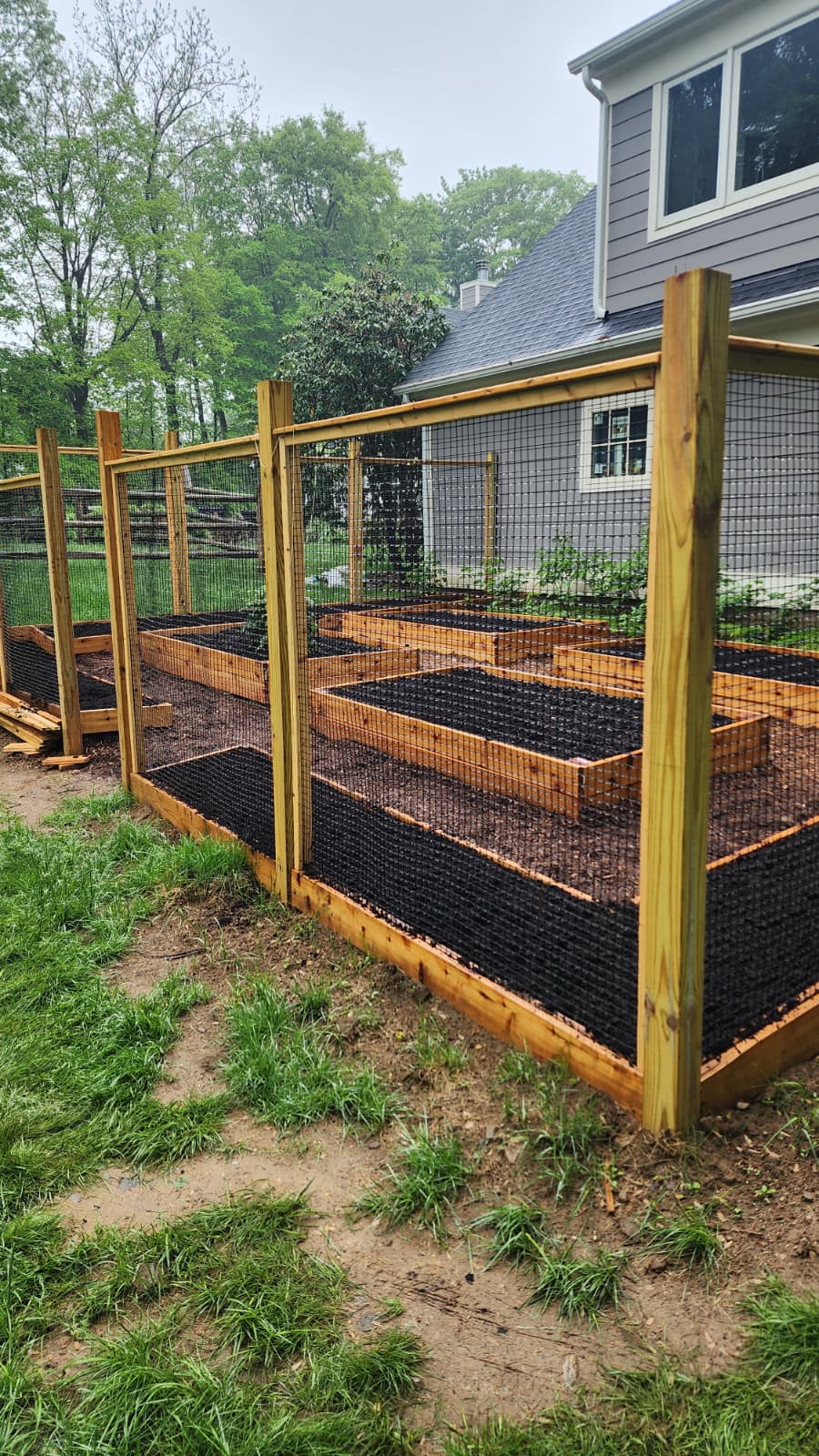 Completed raised beds